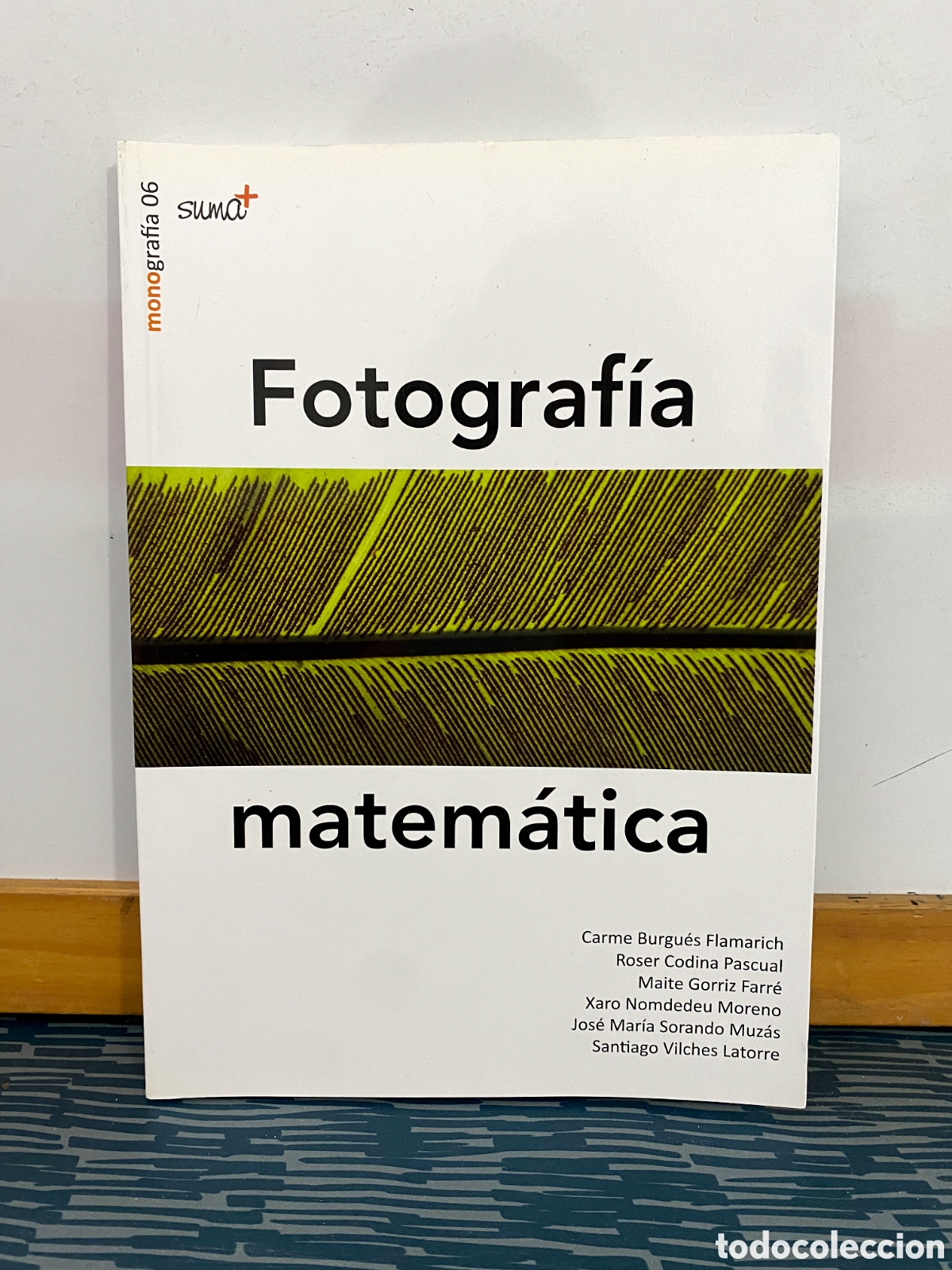 Libros de segunda mano de ciencias: FOTOGRAF&Iacute;A MATEM&Aacute;TICA. MONOGRAF&Iacute;A 06 SUMA - Foto 1