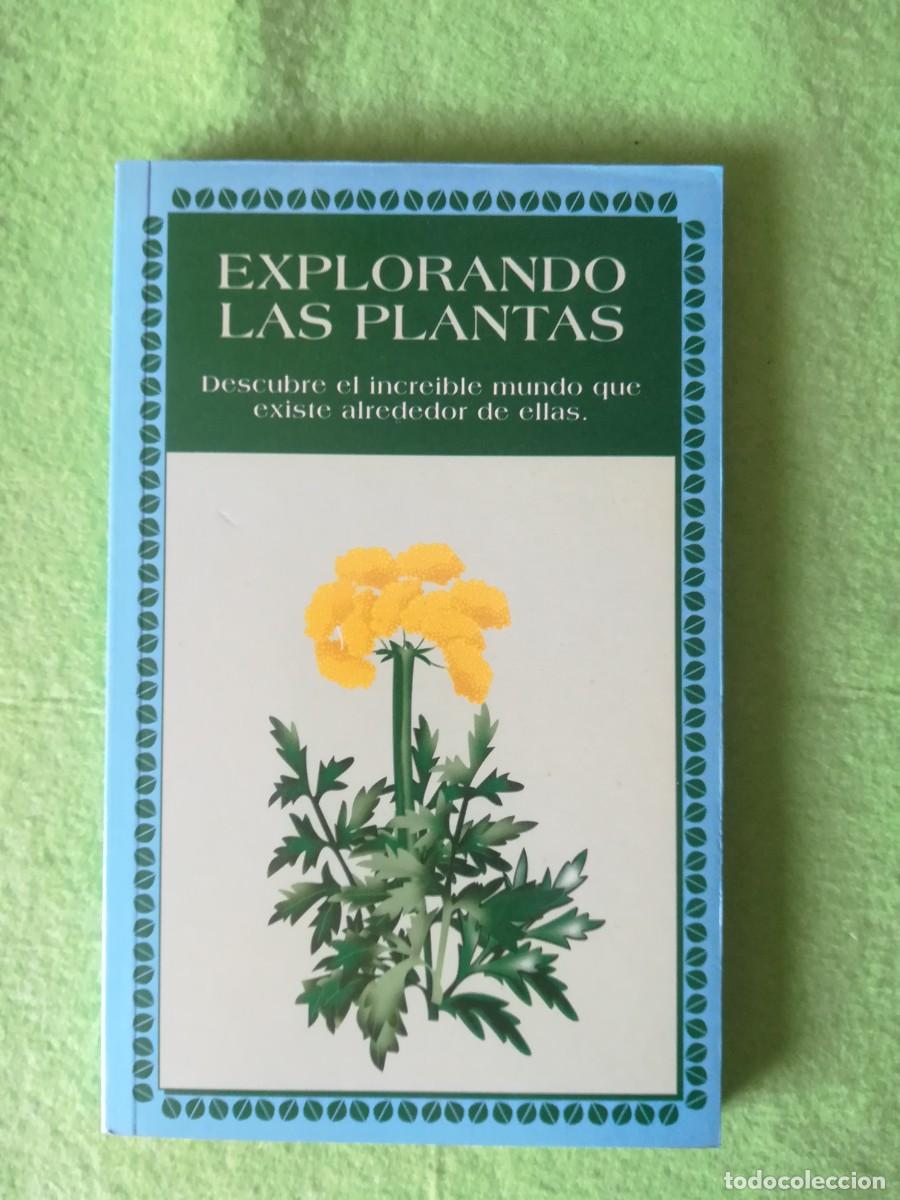 Libros de segunda mano: Explorando las plantas Stanley Solana dm 1995 - Foto 1
