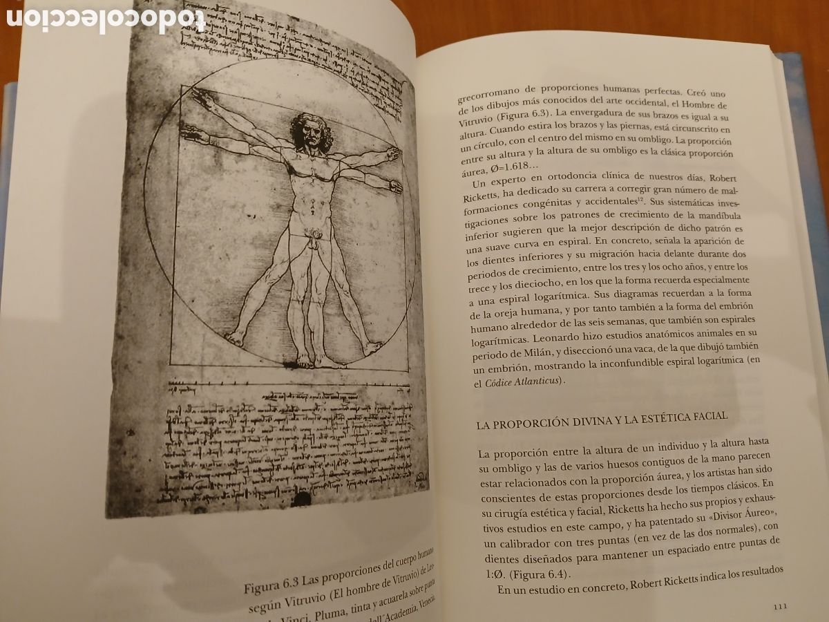 Libros de segunda mano de ciencias: Las Matem&aacute;ticas y la Monalisa. B&uuml;len Atalay. - Foto 9