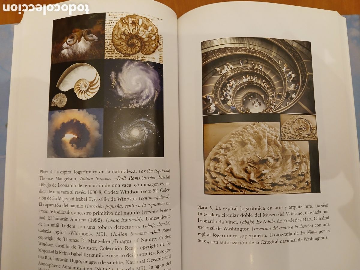 Libros de segunda mano de ciencias: Las Matem&aacute;ticas y la Monalisa. B&uuml;len Atalay. - Foto 11