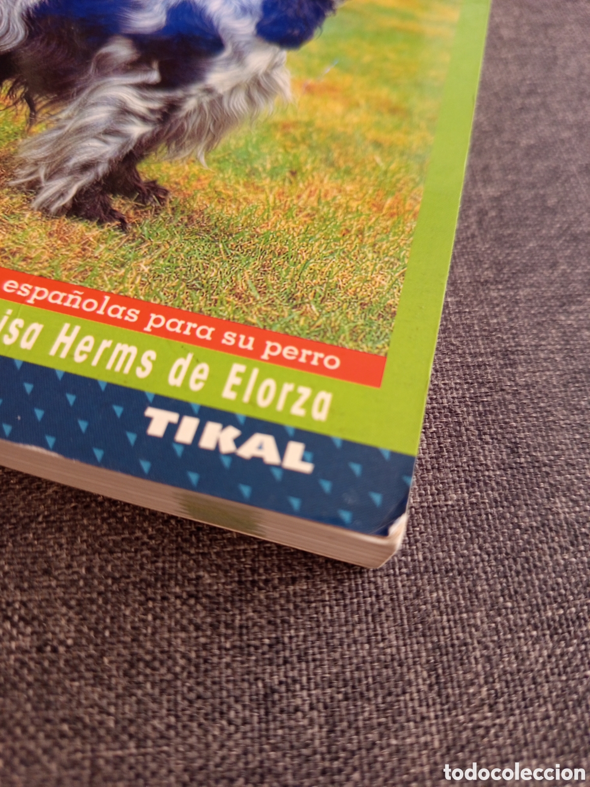 Libros de segunda mano: EL NUEVO LIBRO DEL COCKER SPANIEL INGLES (M LUSIA HERMS DE ELORZA) - Foto 2