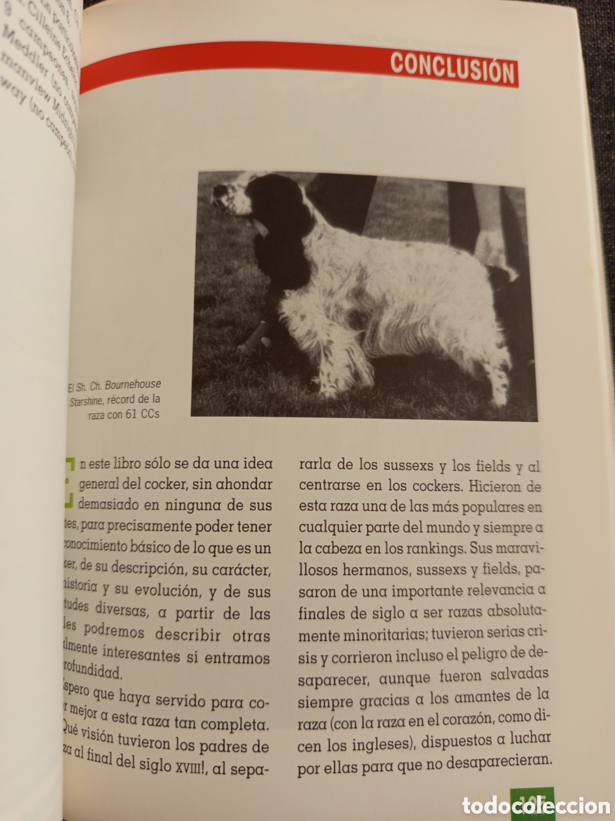 Libros de segunda mano: EL NUEVO LIBRO DEL COCKER SPANIEL INGLES (M LUSIA HERMS DE ELORZA) - Foto 6