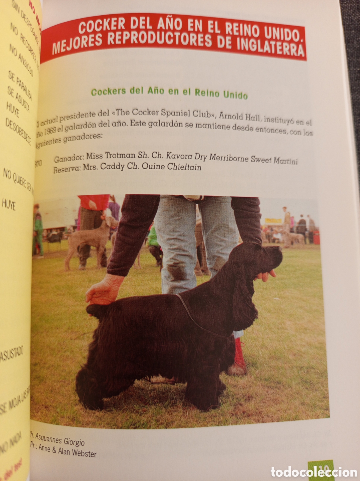 Libros de segunda mano: EL NUEVO LIBRO DEL COCKER SPANIEL INGLES (M LUSIA HERMS DE ELORZA) - Foto 7