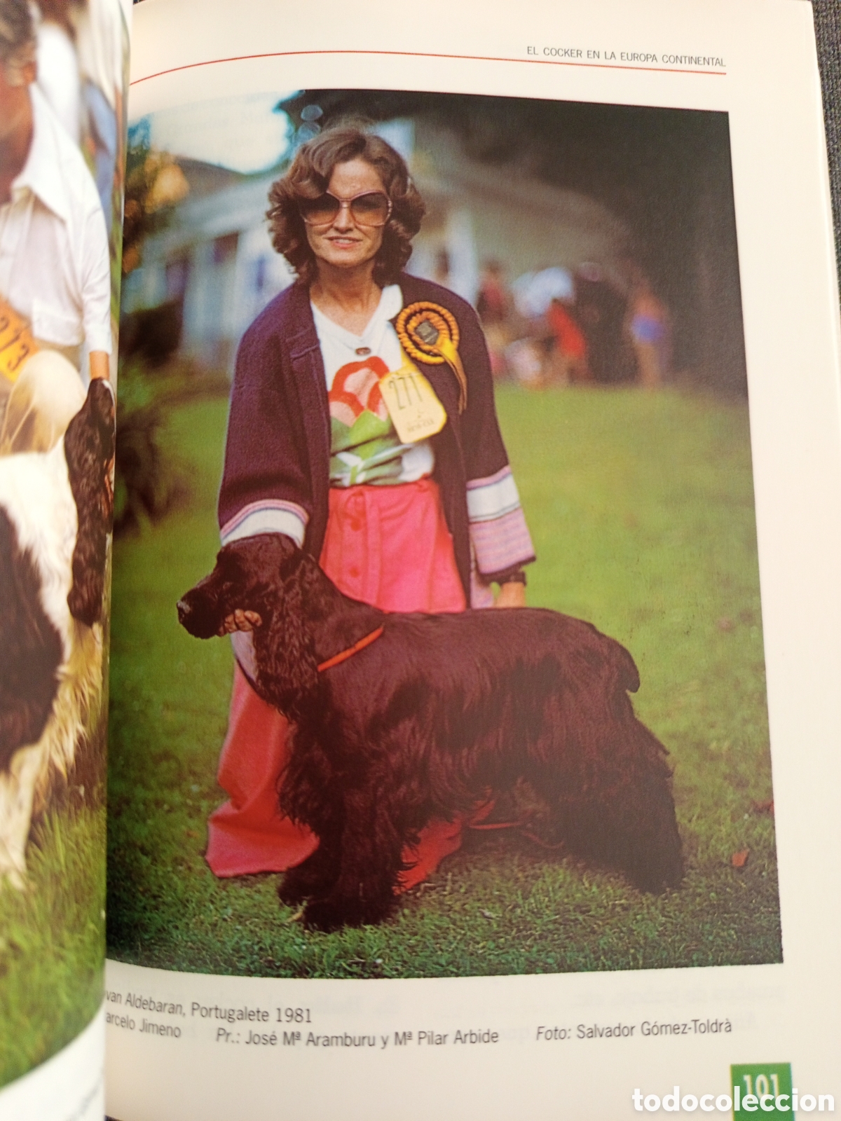 Libros de segunda mano: EL NUEVO LIBRO DEL COCKER SPANIEL INGLES (M LUSIA HERMS DE ELORZA) - Foto 9