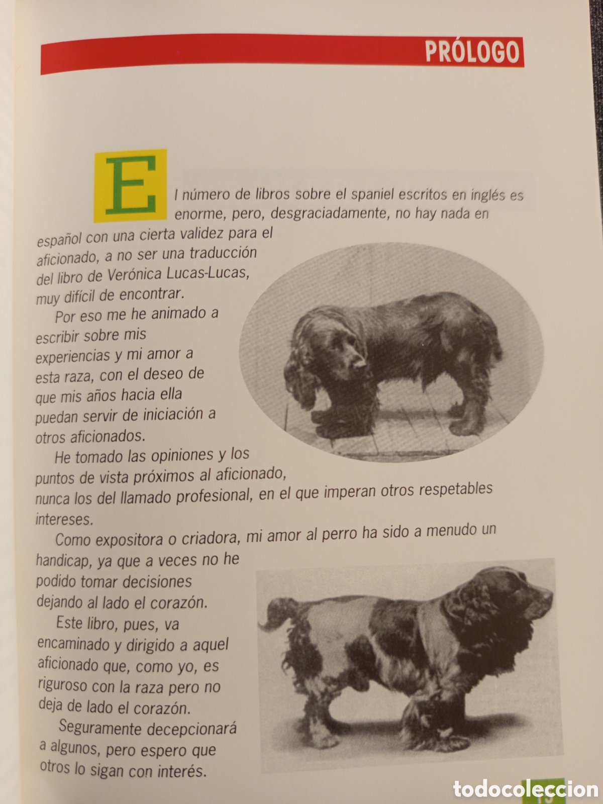 Libros de segunda mano: EL NUEVO LIBRO DEL COCKER SPANIEL INGLES (M LUSIA HERMS DE ELORZA) - Foto 15