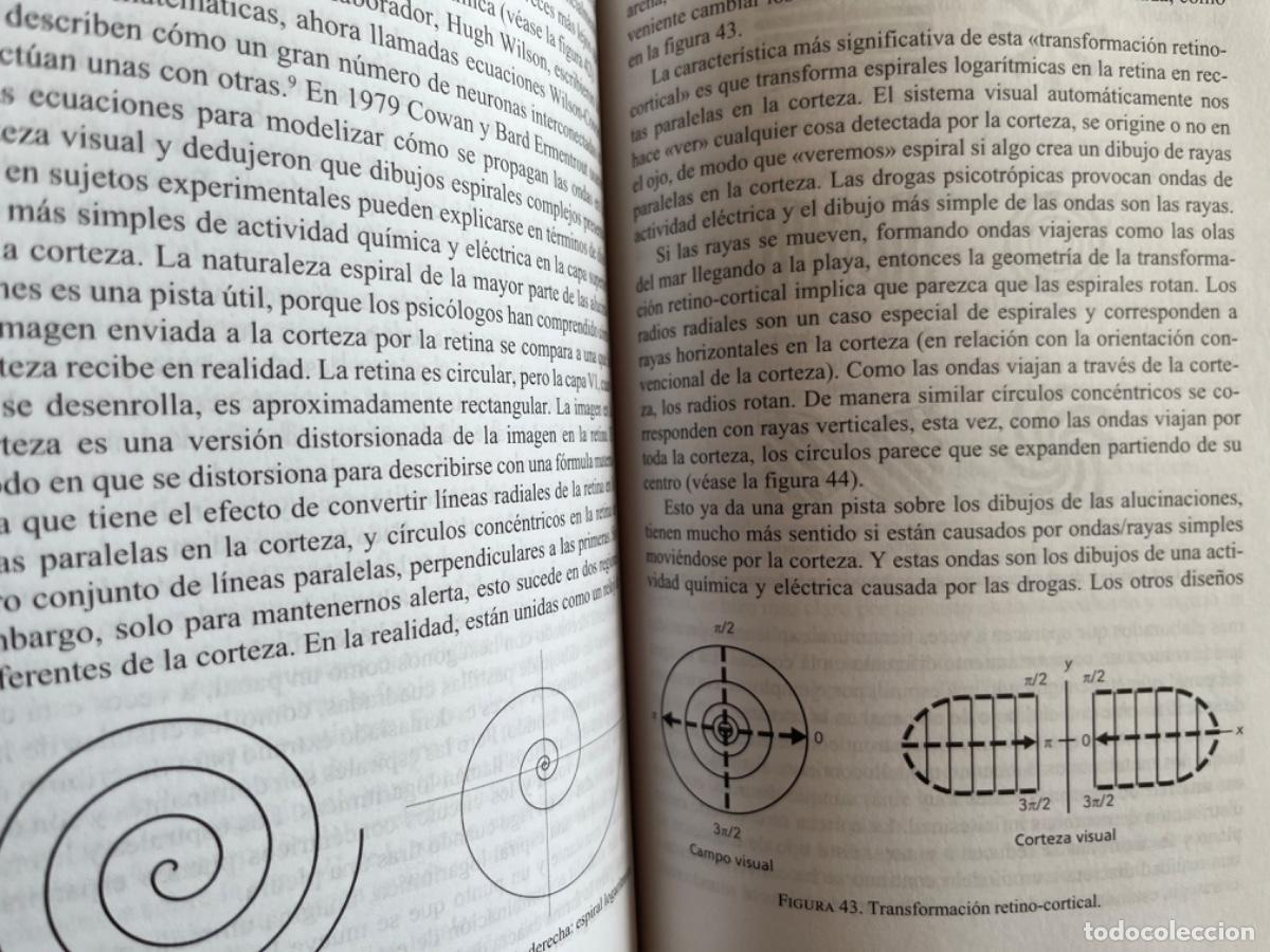 Libros de segunda mano: Stewart, Ian.- Las matem&aacute;ticas de la vida - Foto 2