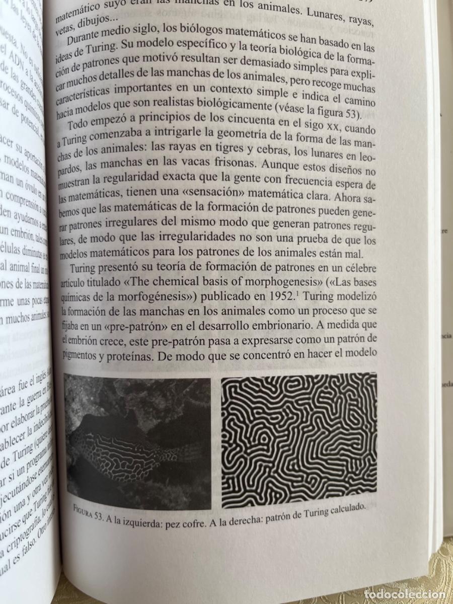 Libros de segunda mano: Stewart, Ian.- Las matem&aacute;ticas de la vida - Foto 4