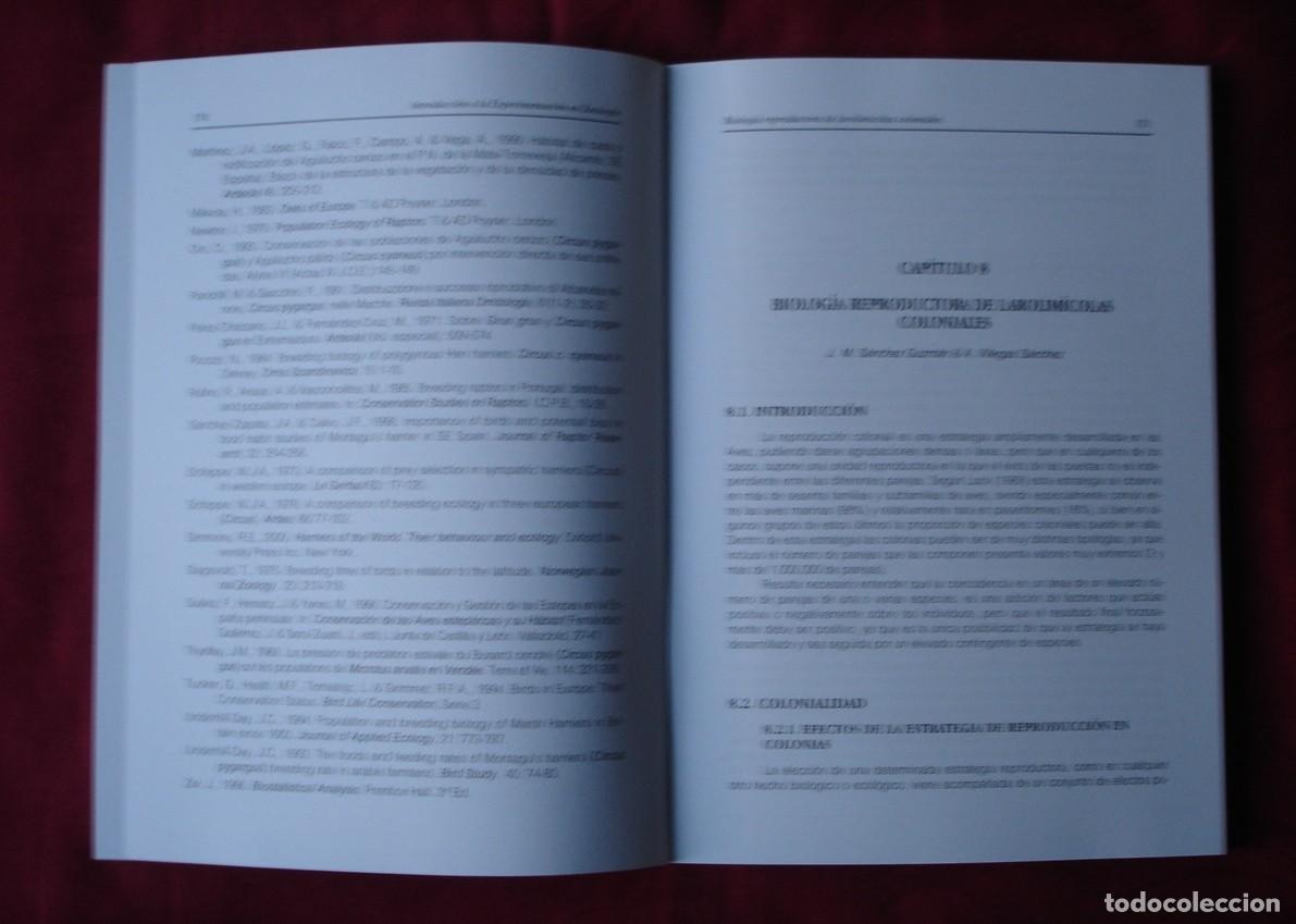 Libros de segunda mano: Introducci&oacute;n a la experimentaci&oacute;n en Zoolog&iacute;a. Libro. - Foto 4