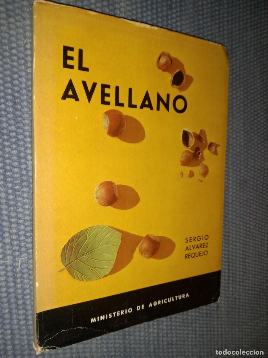 Libros de segunda mano: El avellano - Cultivo - Explotaci&oacute;n - - Foto 1