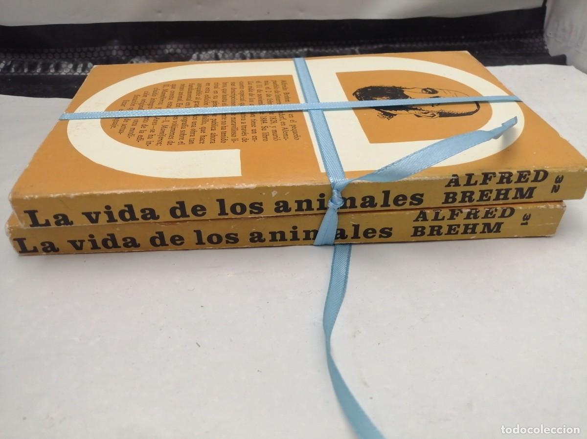 Libros de segunda mano: LA VIDA DE LOS ANIMALES, Tomos I y II: MAM&Iacute;FEROS 1 y 2 - Foto 2