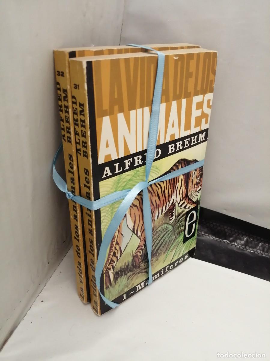 Libros de segunda mano: LA VIDA DE LOS ANIMALES, Tomos I y II: MAM&Iacute;FEROS 1 y 2 - Foto 3