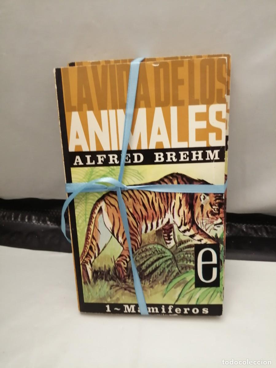 Libros de segunda mano: LA VIDA DE LOS ANIMALES, Tomos I y II: MAM&Iacute;FEROS 1 y 2 - Foto 1