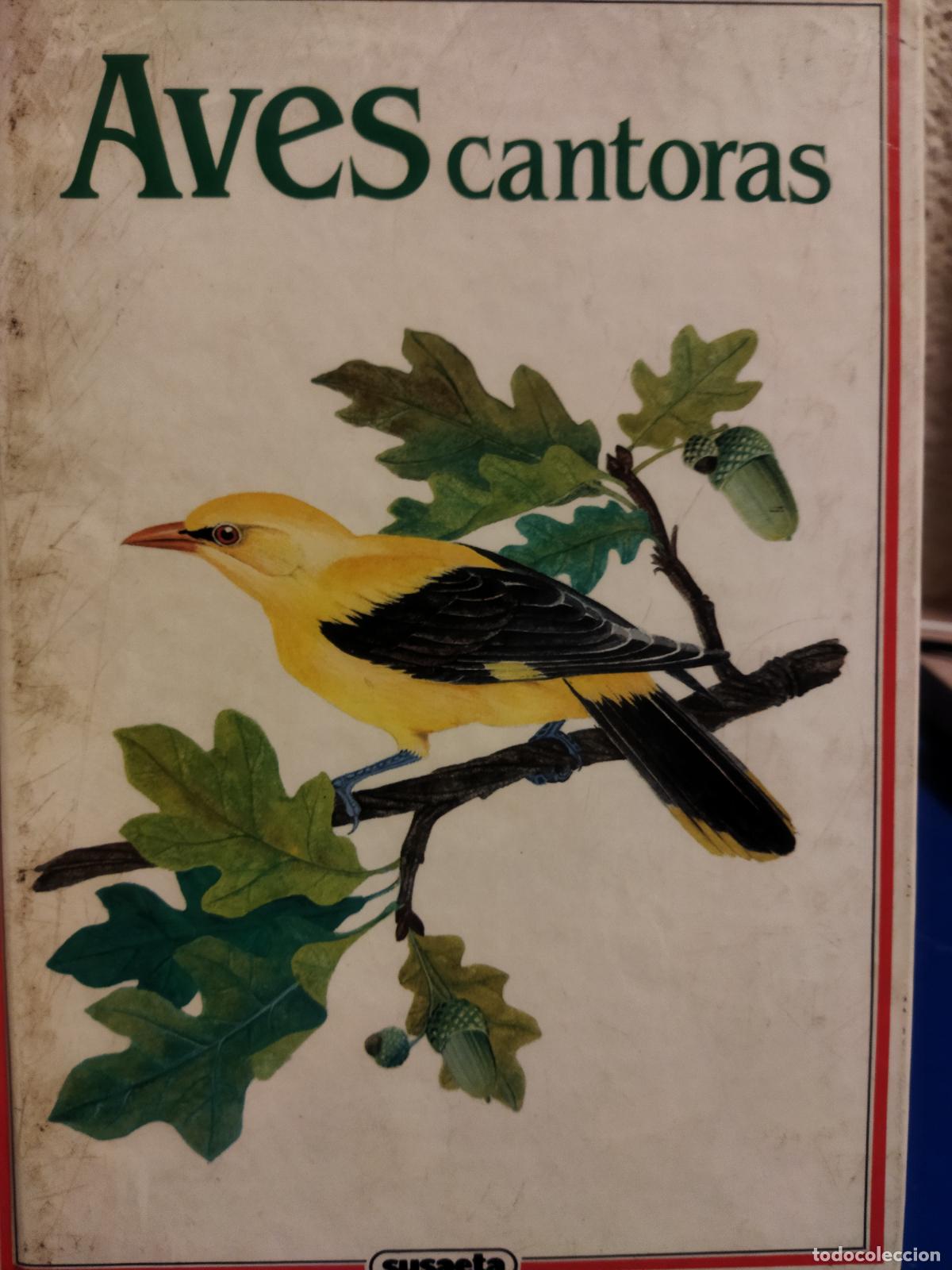 Libros de segunda mano: Aves cantoras editorial susaeta - Foto 1
