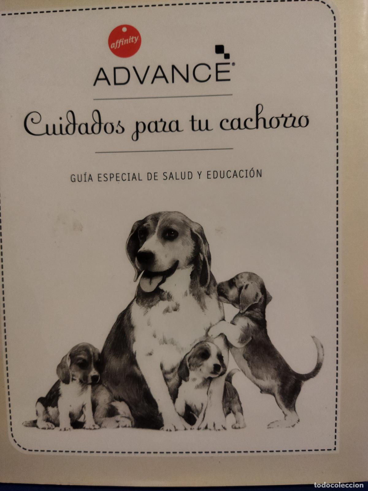 Libros de segunda mano: Cuidados para tu cachorro - Foto 1