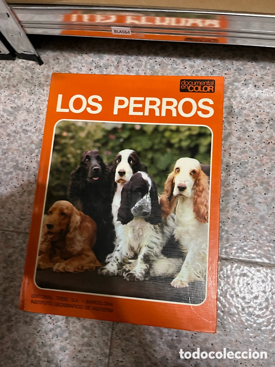 Libros de segunda mano: BLAS64 LOS PERROS - libro - Foto 1