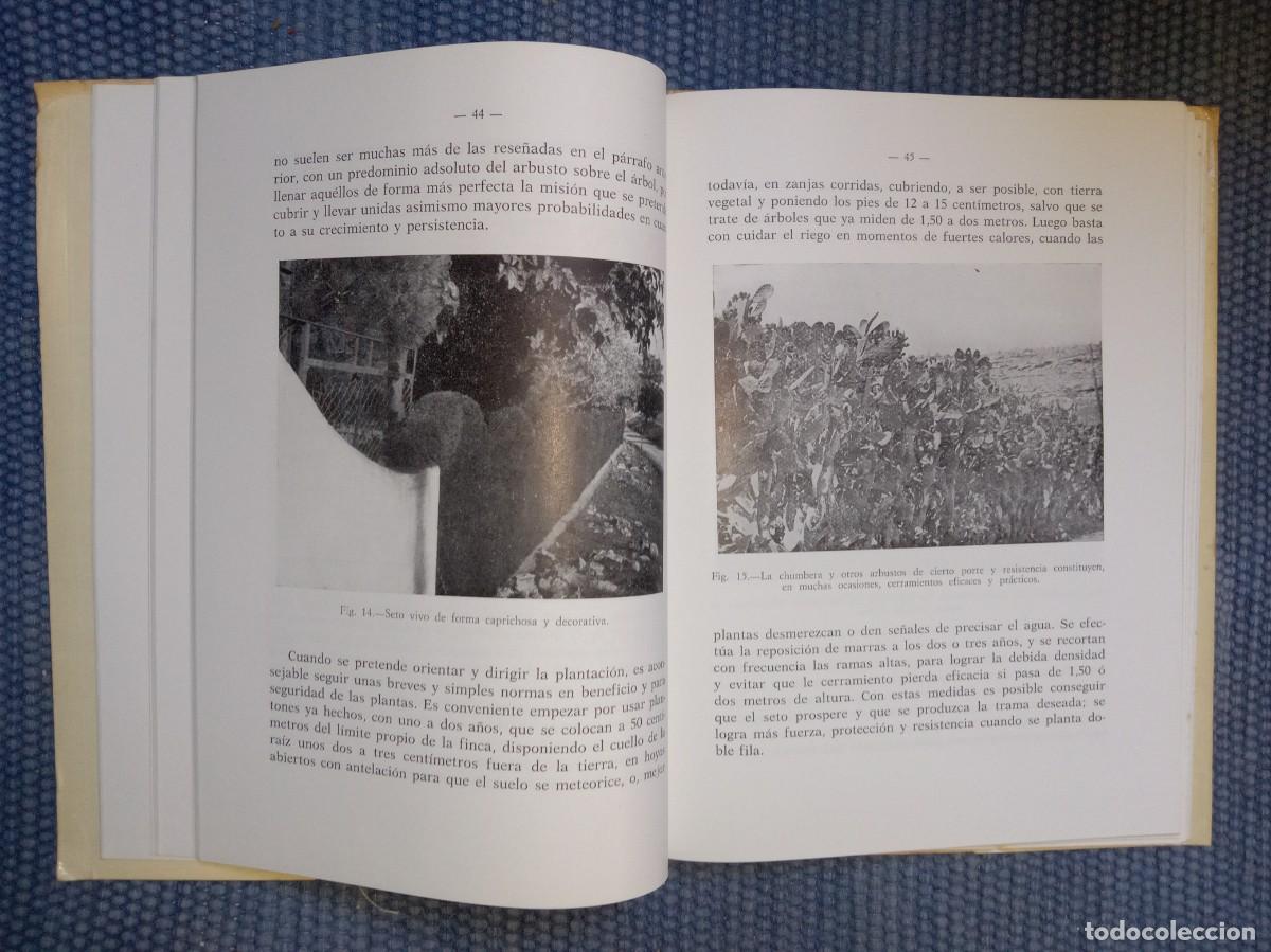 Libros de segunda mano: Cerramientos r&uacute;sticos y ornamentales - Foto 3