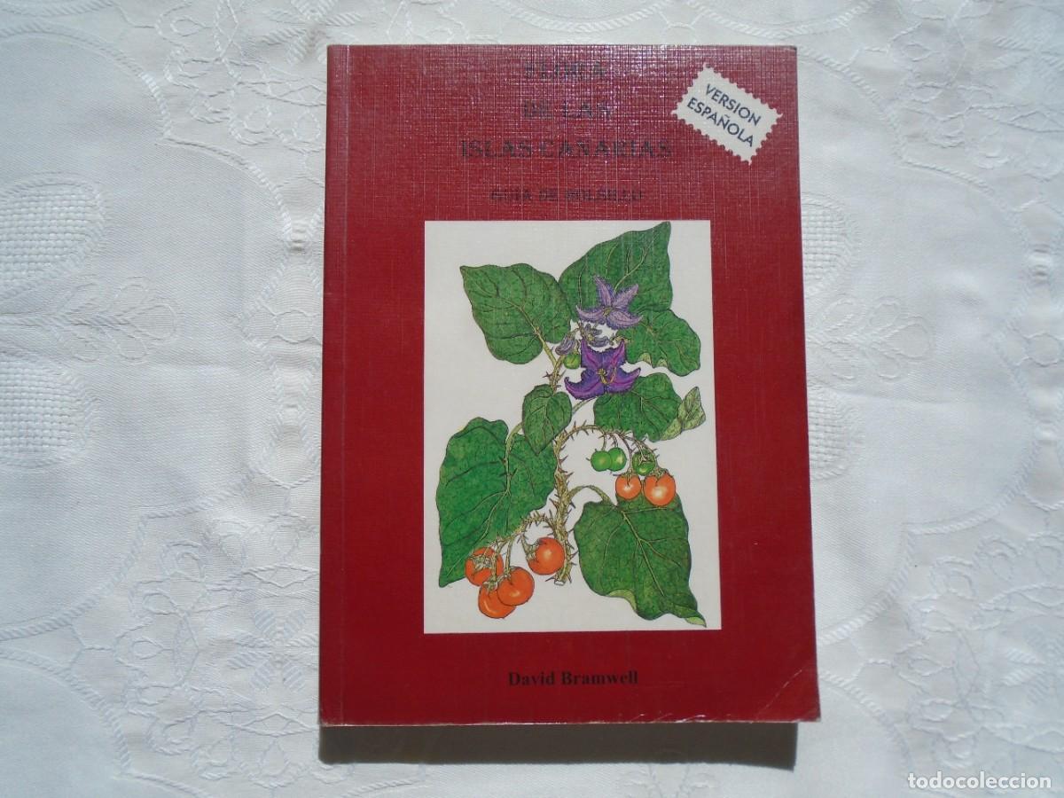 Libros de segunda mano: DAVID BRAMWELL. FLORA DE LAS ISLAS CANARIAS. 1998. PRIMERA EDICI&Oacute;N. - Foto 1