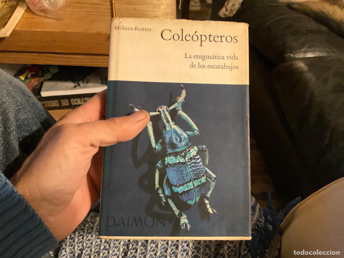 Libros de segunda mano: MOHRES REITTER : COLE&Oacute;PTEROS, LA ENIGM&Aacute;TICA VIDA DE LOS ESCARABAJOS (DAIMON) - Foto 1