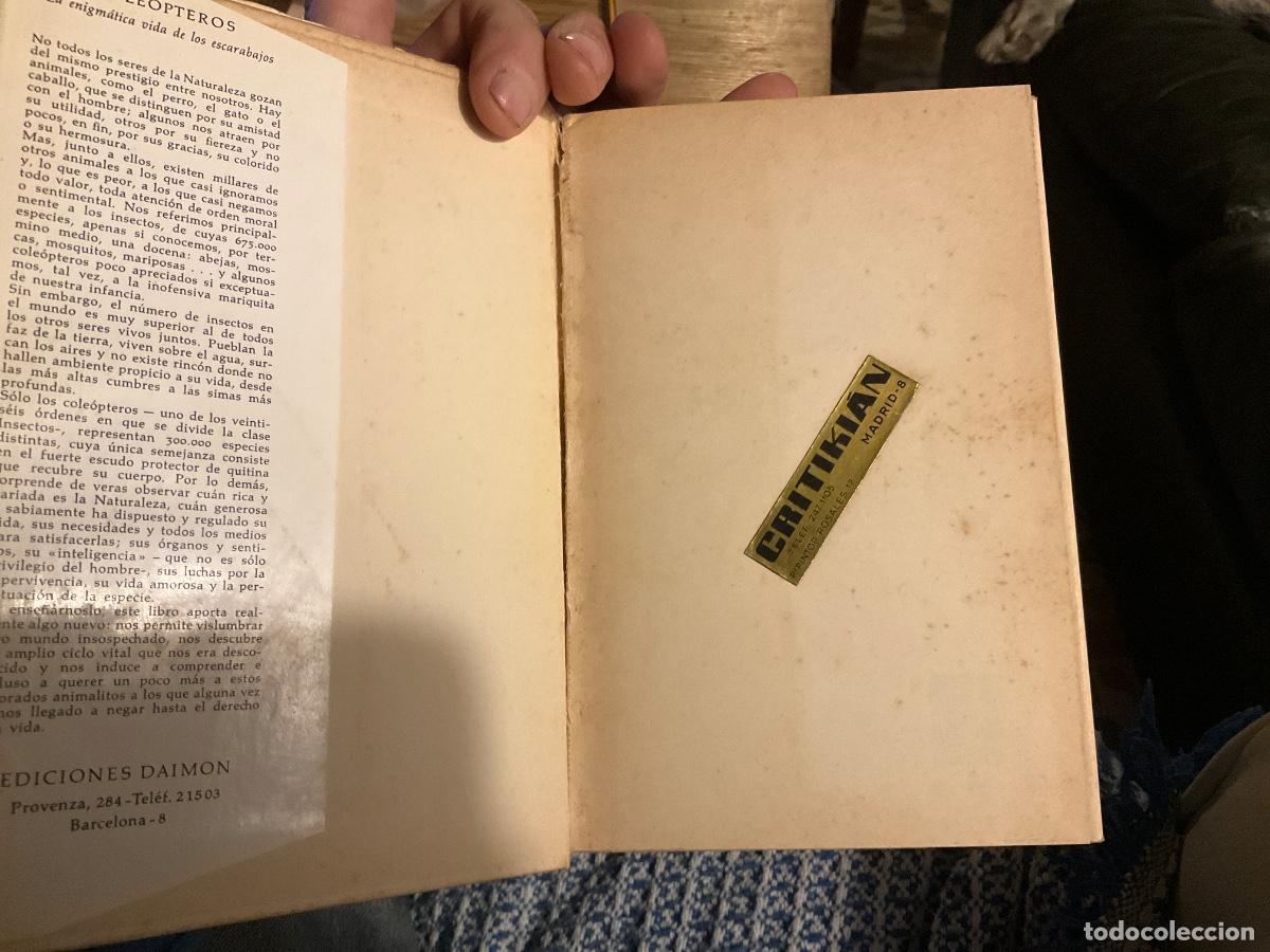 Libros de segunda mano: MOHRES REITTER : COLE&Oacute;PTEROS, LA ENIGM&Aacute;TICA VIDA DE LOS ESCARABAJOS (DAIMON) - Foto 2