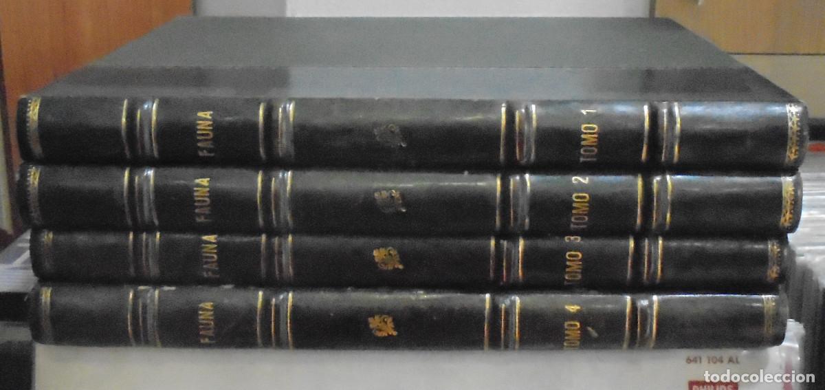 Libros de segunda mano: Fauna - 4 tomos (en muy buen estado) - Foto 1