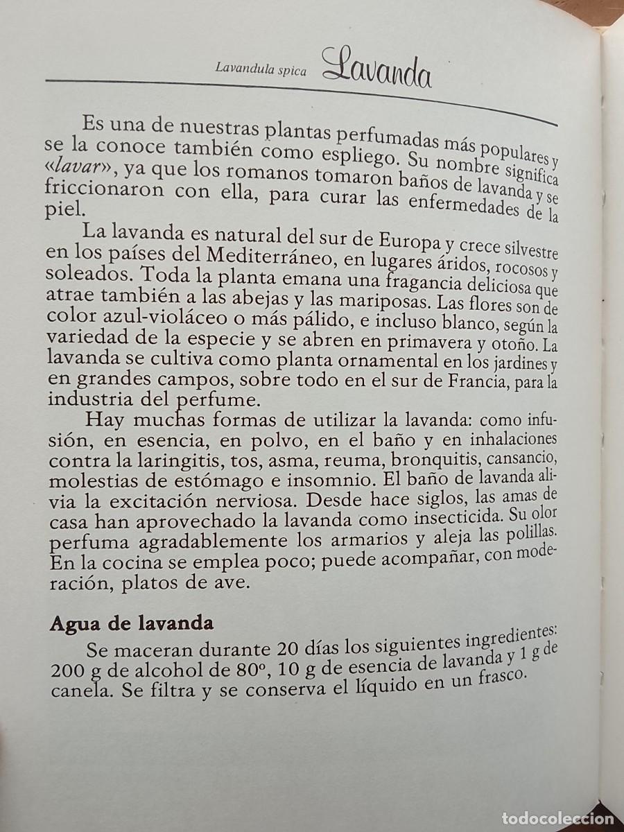 Libros de segunda mano: Los secretos de las hierbas Rita Schnitzer - Foto 8