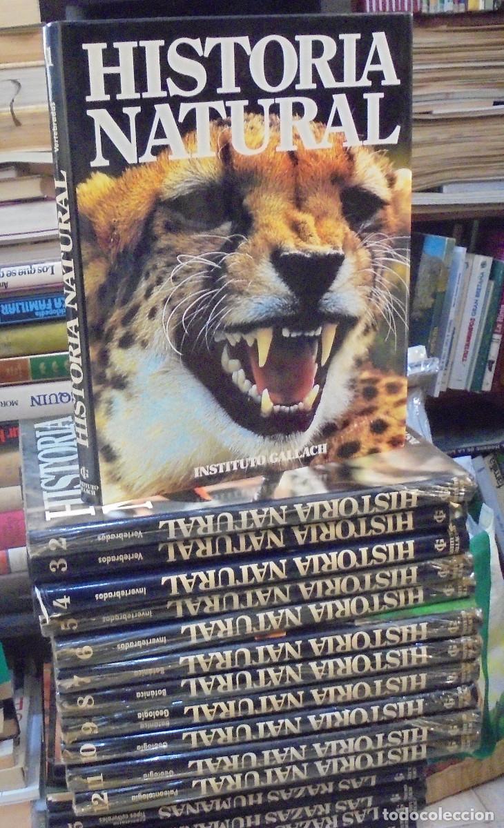 Libros de segunda mano: Historia natural, 12 tomos - Instituto Gallach - Foto 1