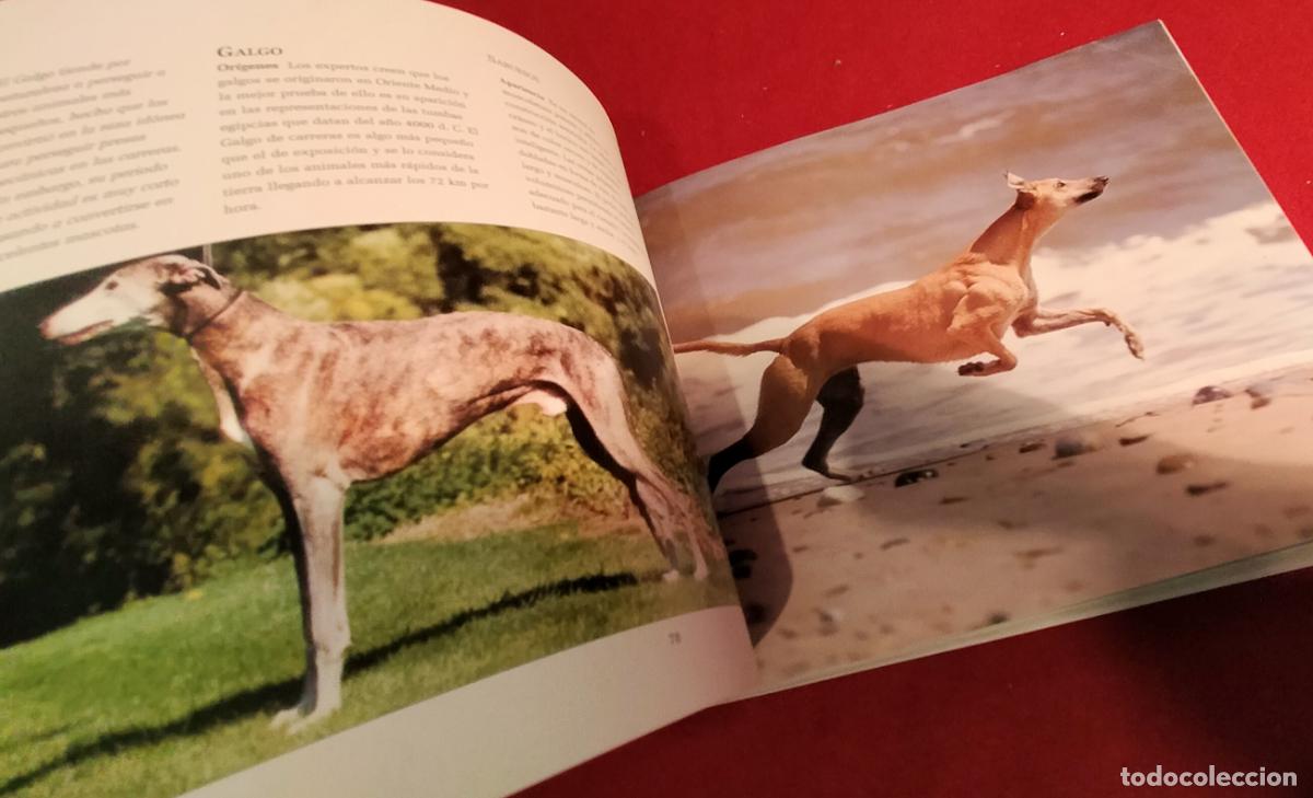 Libros de segunda mano: GUIA COMPLETA DE RAZAS CANINAS - Foto 3