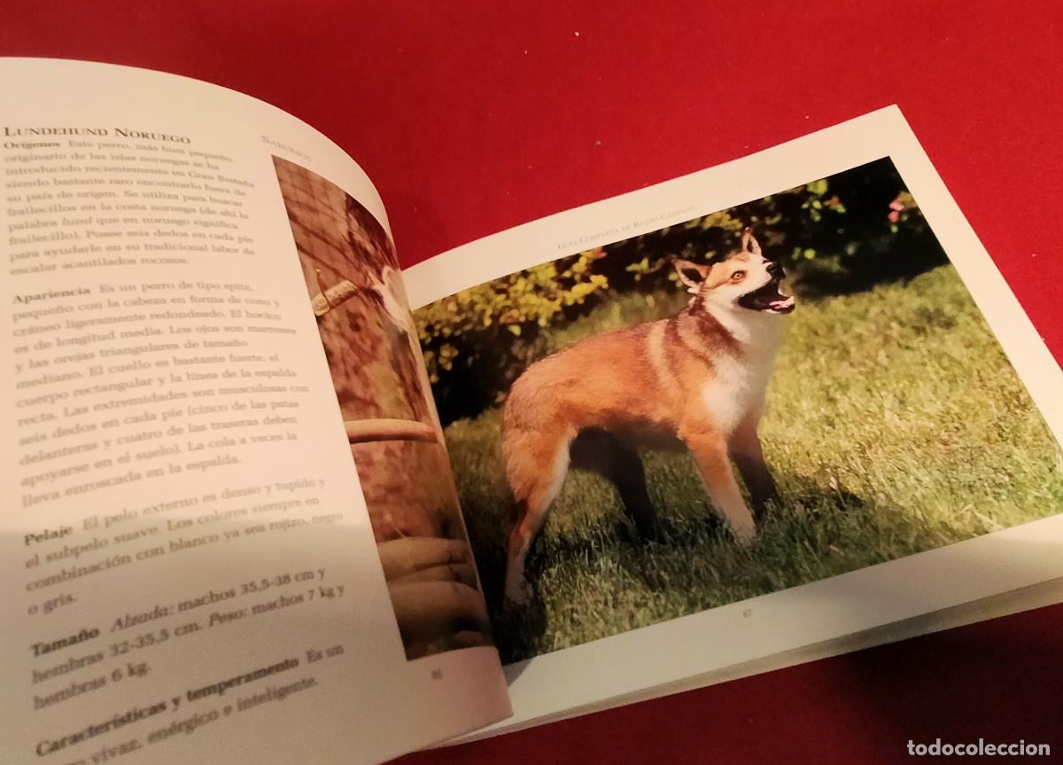 Libros de segunda mano: GUIA COMPLETA DE RAZAS CANINAS - Foto 4