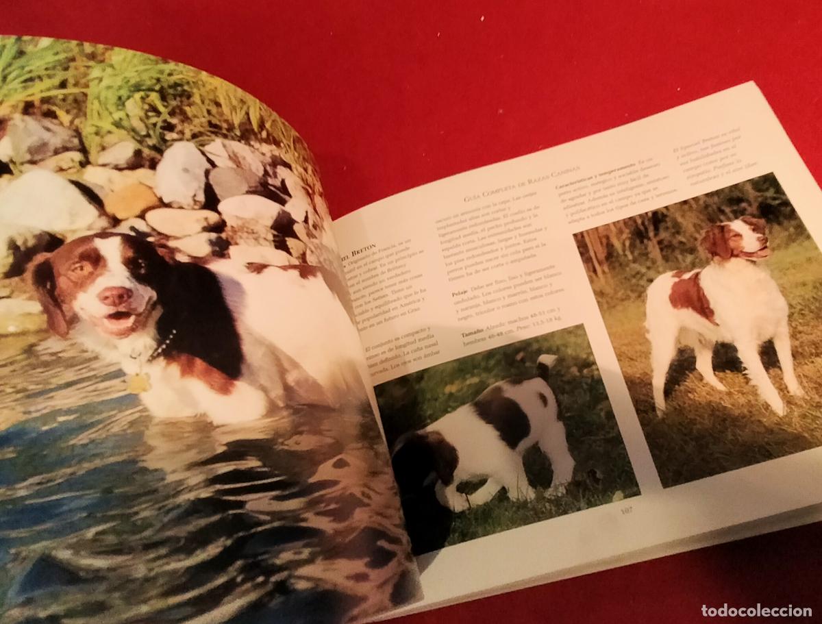Libros de segunda mano: GUIA COMPLETA DE RAZAS CANINAS - Foto 5