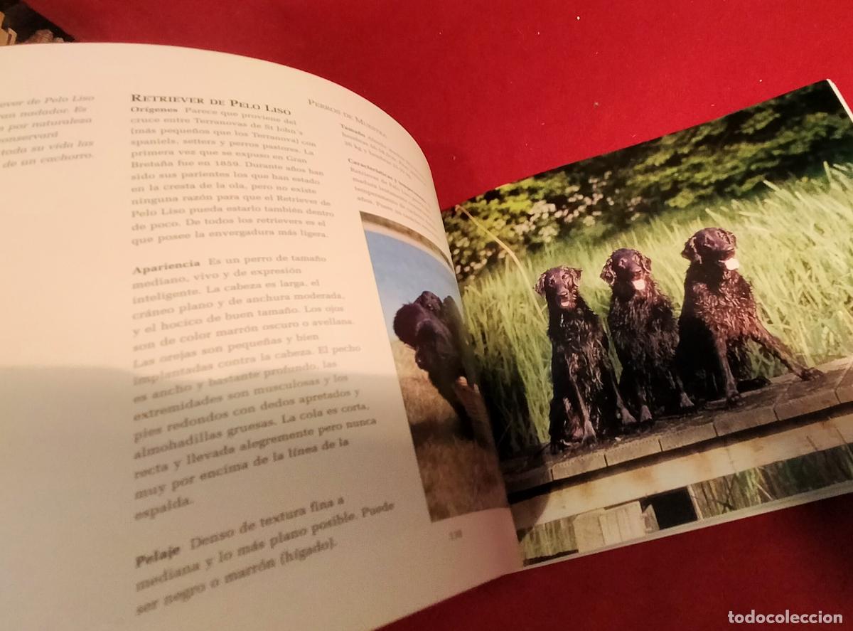 Libros de segunda mano: GUIA COMPLETA DE RAZAS CANINAS - Foto 6