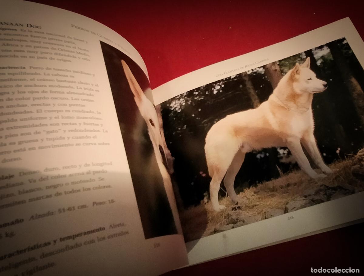 Libros de segunda mano: GUIA COMPLETA DE RAZAS CANINAS - Foto 8