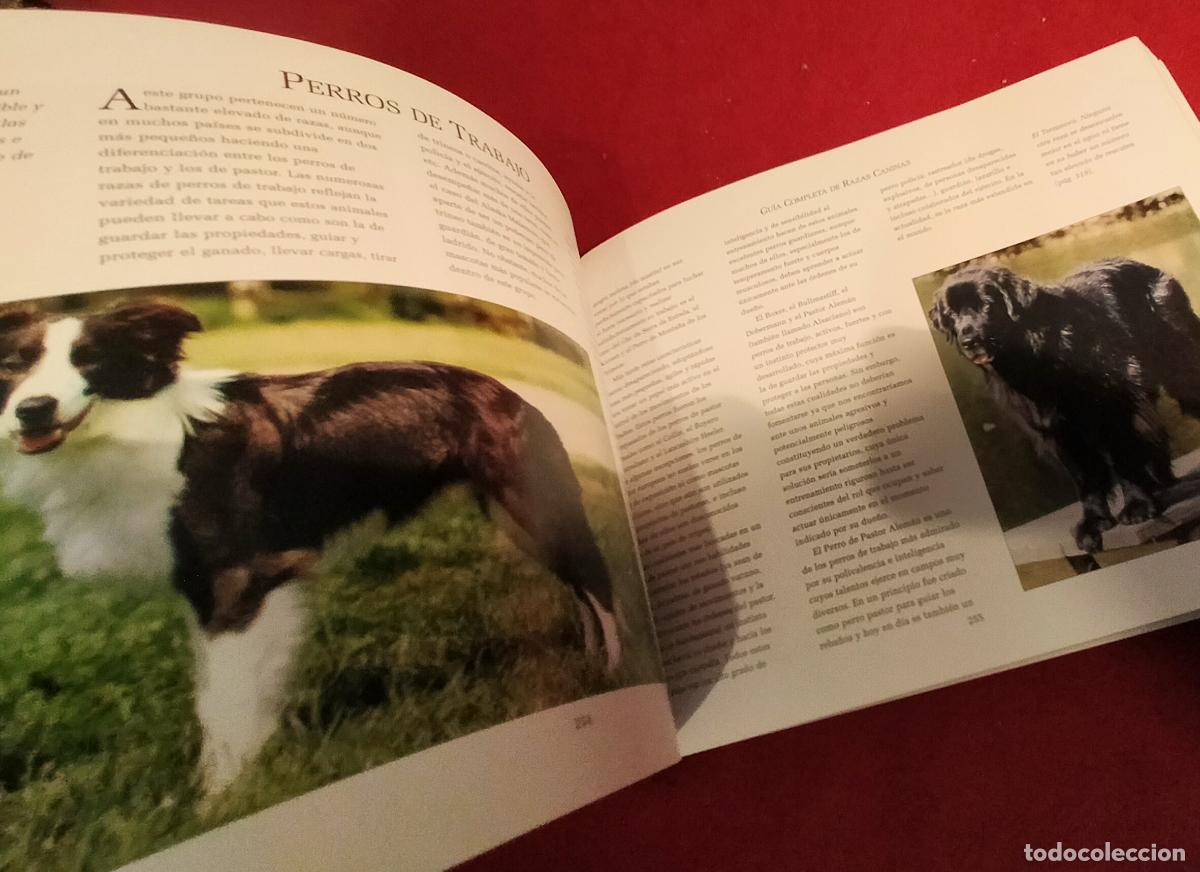 Libros de segunda mano: GUIA COMPLETA DE RAZAS CANINAS - Foto 9