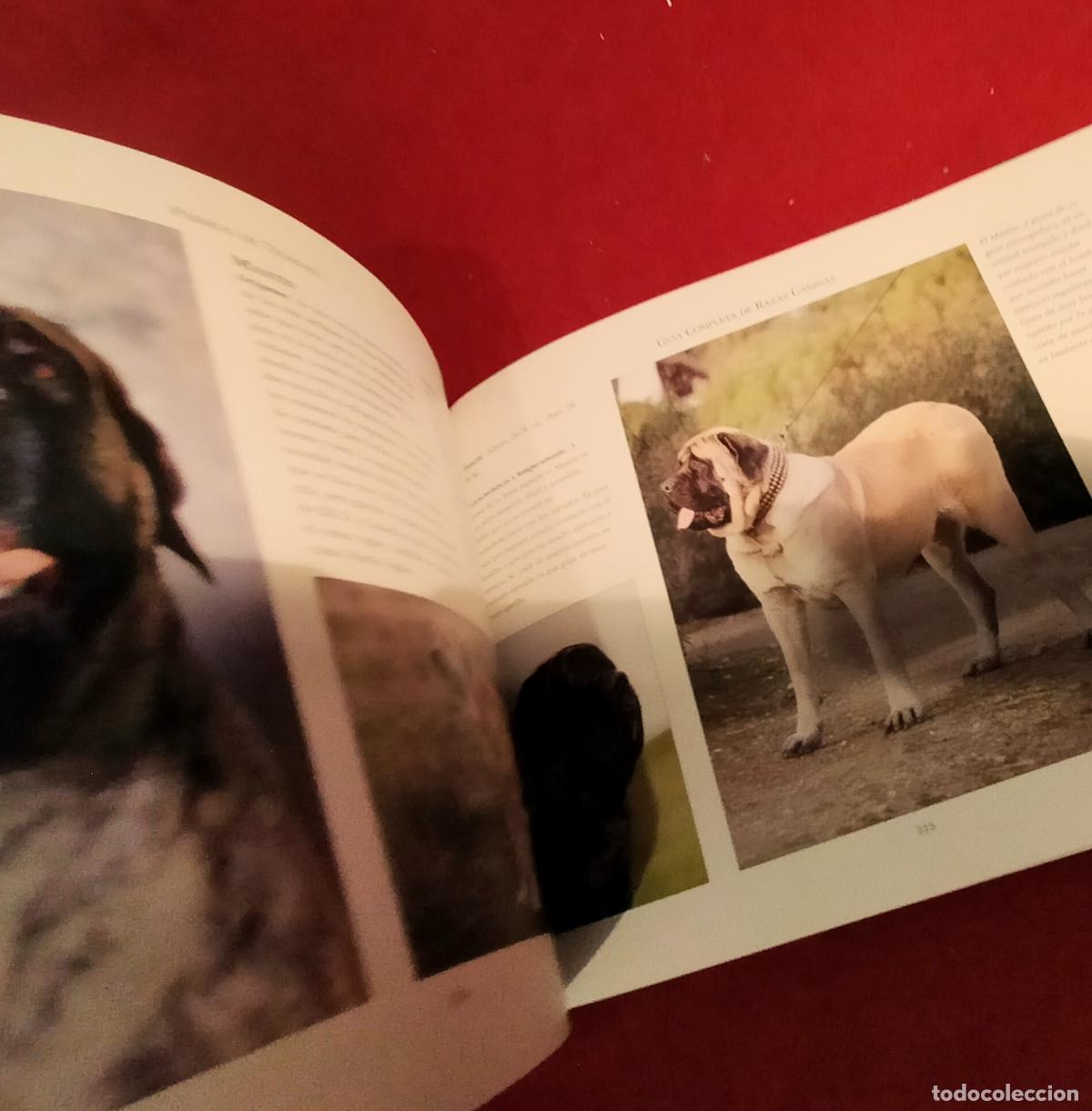 Libros de segunda mano: GUIA COMPLETA DE RAZAS CANINAS - Foto 10