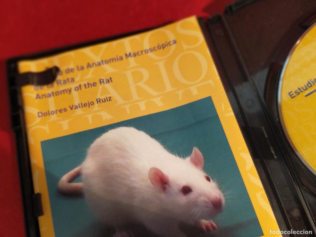 Libros de segunda mano: ESTUDIO DE LA ANATOMIA MACROSCOPICA DE LA RATA - LBRETO Y DVD - Foto 3