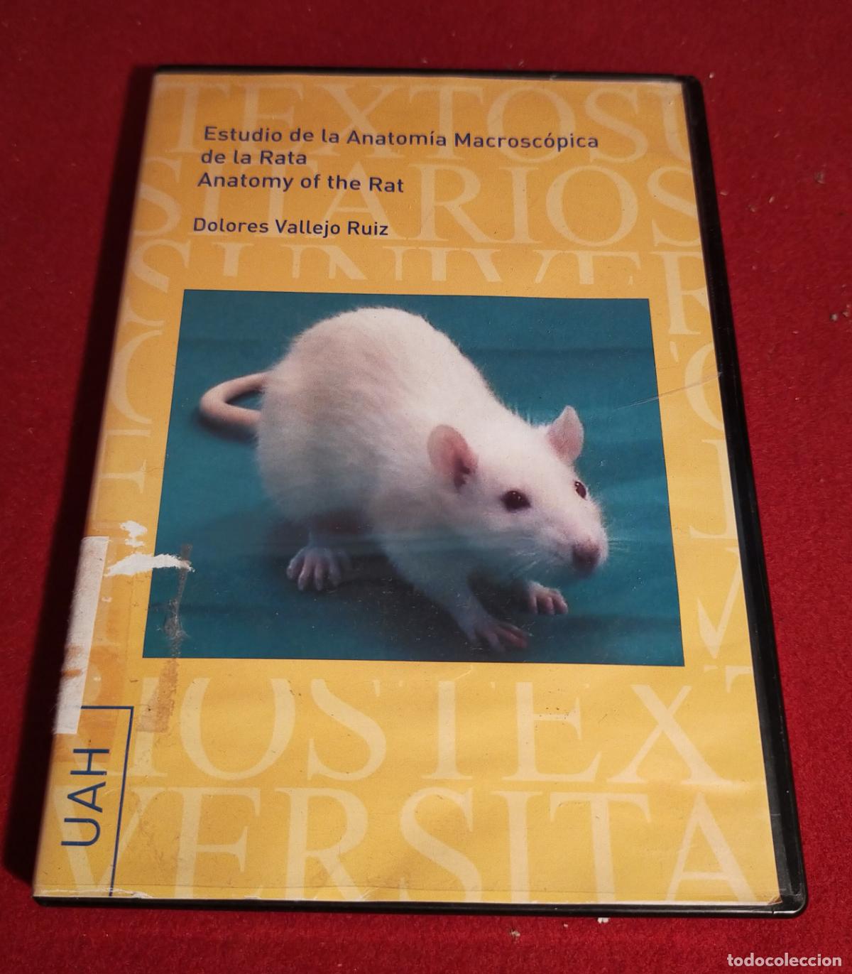 Libros de segunda mano: ESTUDIO DE LA ANATOMIA MACROSCOPICA DE LA RATA - LBRETO Y DVD - Foto 1
