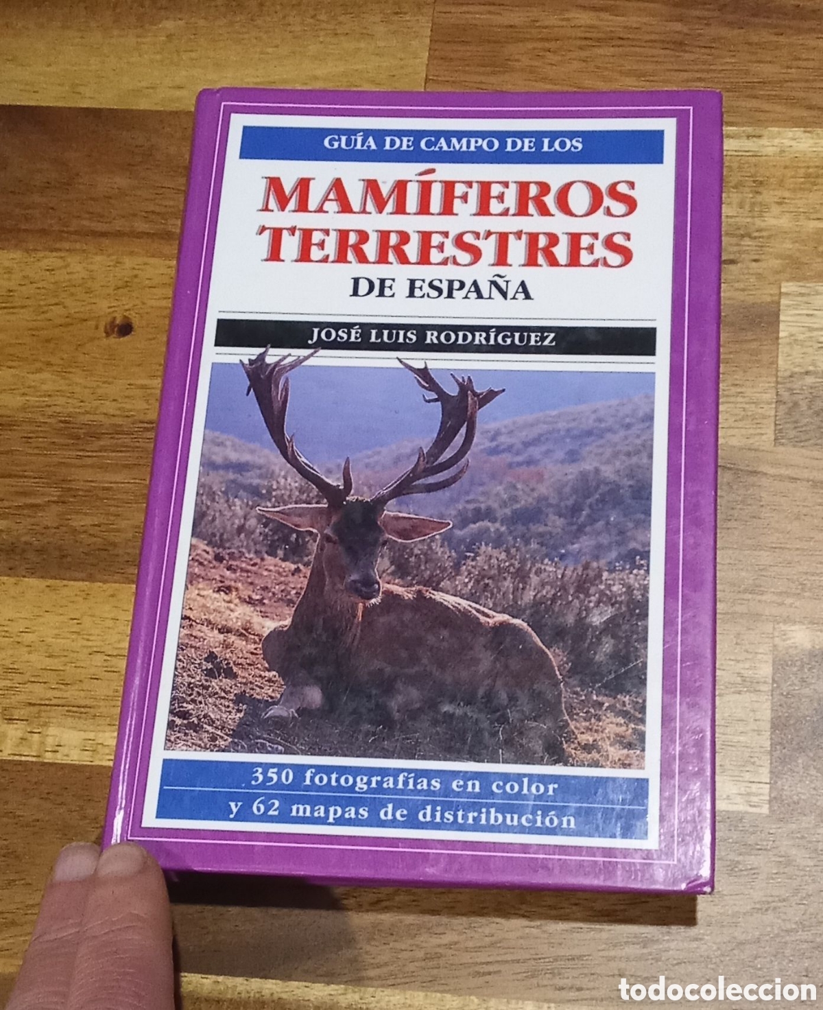 Libros de segunda mano: Gu&iacute;a de Campo de los Mam&iacute;feros Terrestres de Espa&ntilde;a. Editorial OMEGA.