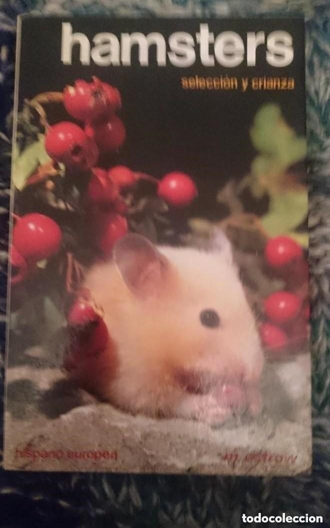 Libros de segunda mano: HAMSTERS - SELECCION Y CRIANZA - Foto 1