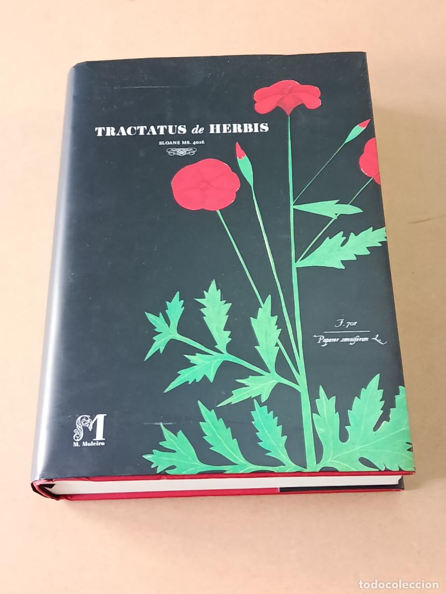 Libros de segunda mano: TRACTATUS DE HERBIS - SLOANE MS.4016 - Foto 1