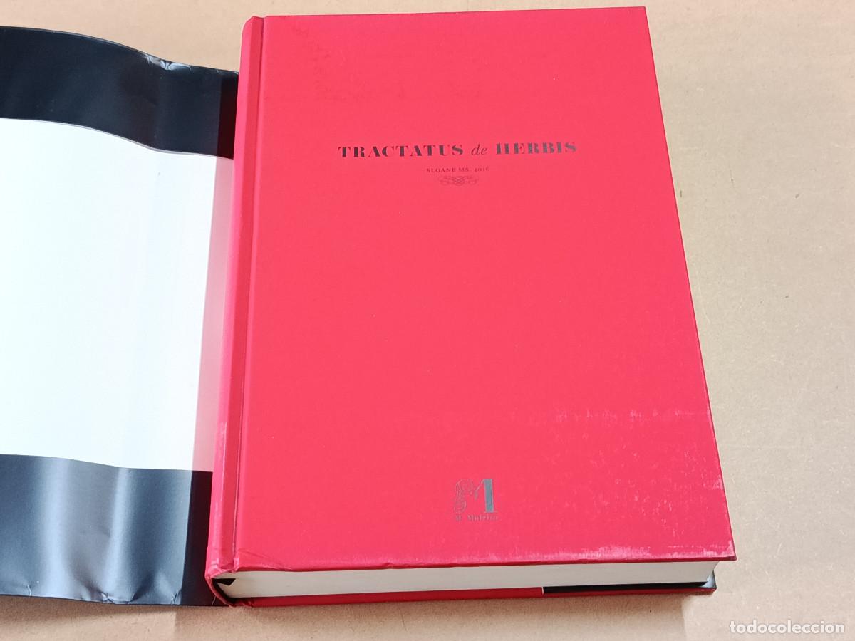 Libros de segunda mano: TRACTATUS DE HERBIS - SLOANE MS.4016 - Foto 2