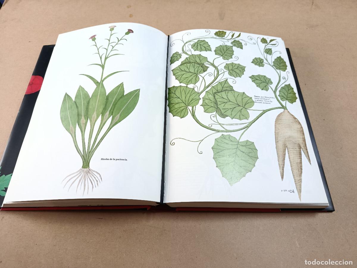 Libros de segunda mano: TRACTATUS DE HERBIS - SLOANE MS.4016 - Foto 5