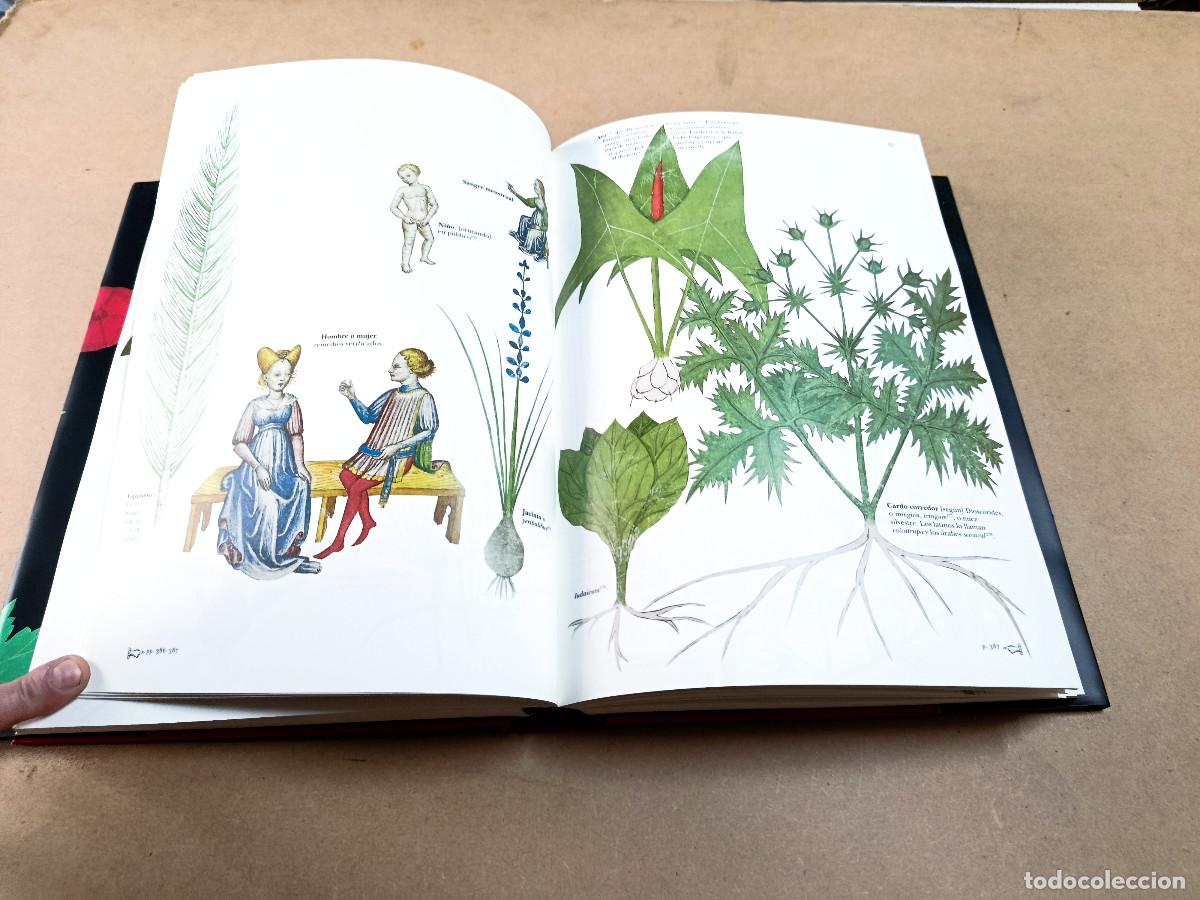 Libros de segunda mano: TRACTATUS DE HERBIS - SLOANE MS.4016 - Foto 6
