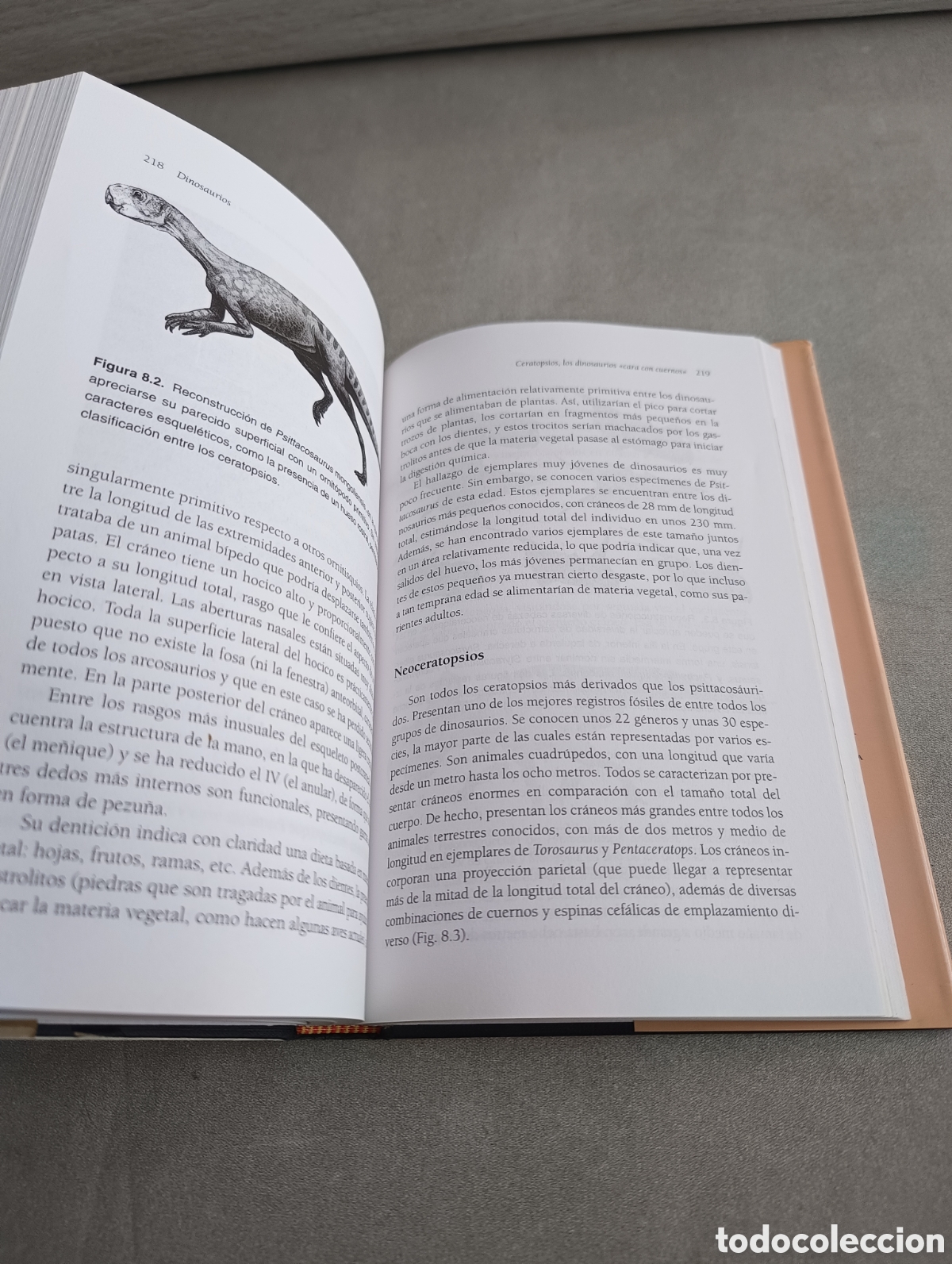 Libros de segunda mano: Dinosaurios. Los se&ntilde;ores del pasado. Jos&eacute; Luis Sanz. - Foto 7
