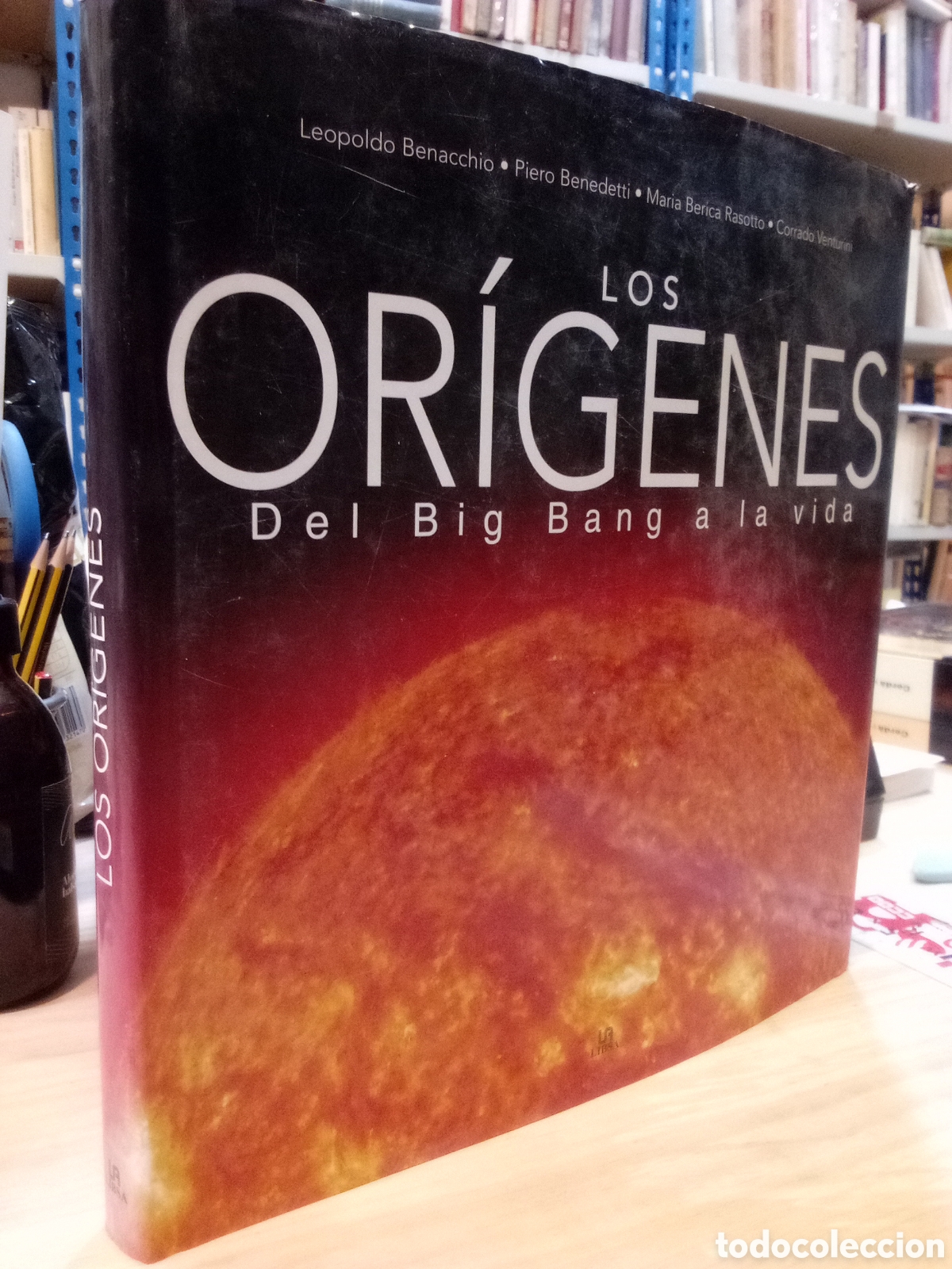 Libri di seconda mano: L. Benacchio, P. Benedetti, M. B. Rasotto y C. Venturini - Los or&iacute;genes. Del Big Bang a la vida