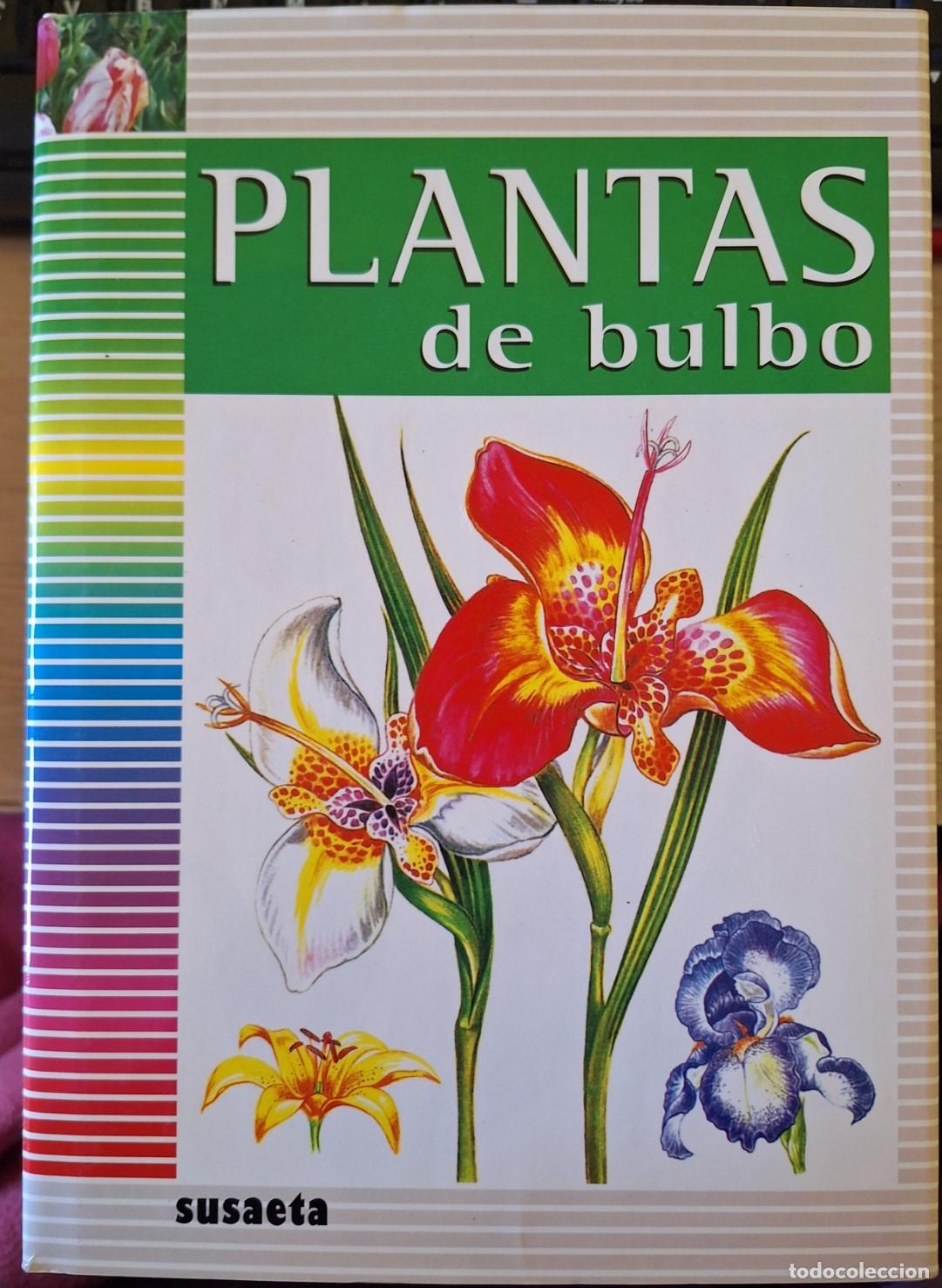 Libros de segunda mano: PLANTAS DE BULBO. - STURSA, Jan. - Foto 1