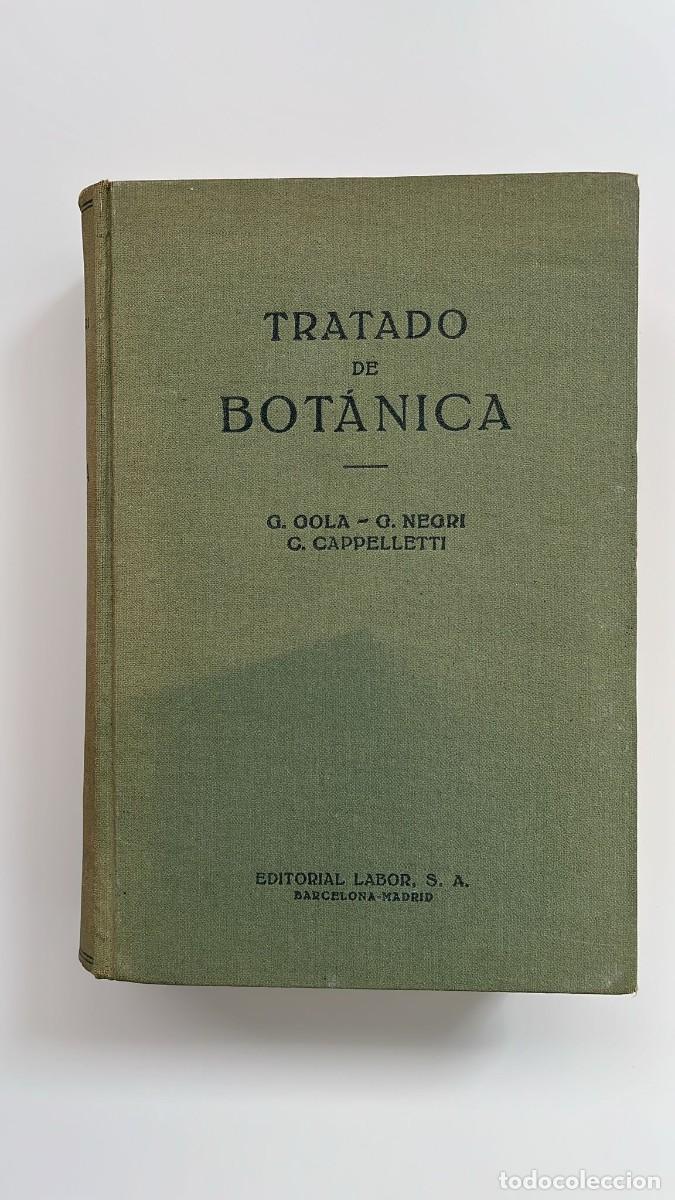 Libros de segunda mano: Tratado de Bot&aacute;nica. 1965 - Foto 1