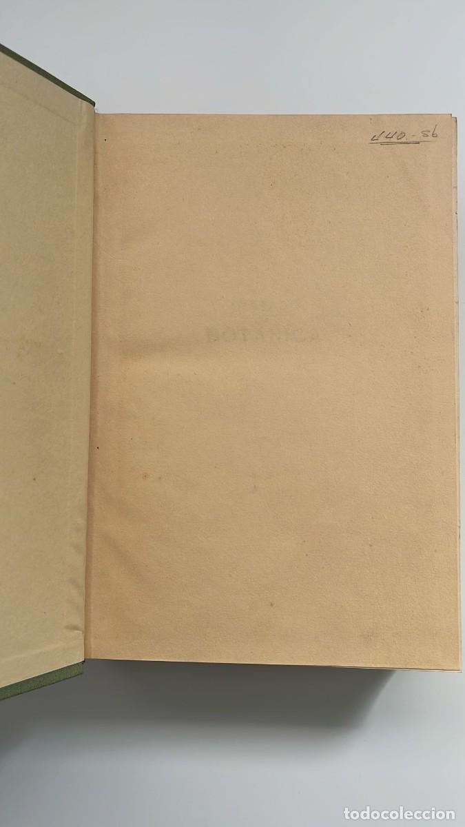 Libros de segunda mano: Tratado de Bot&aacute;nica. 1965 - Foto 2