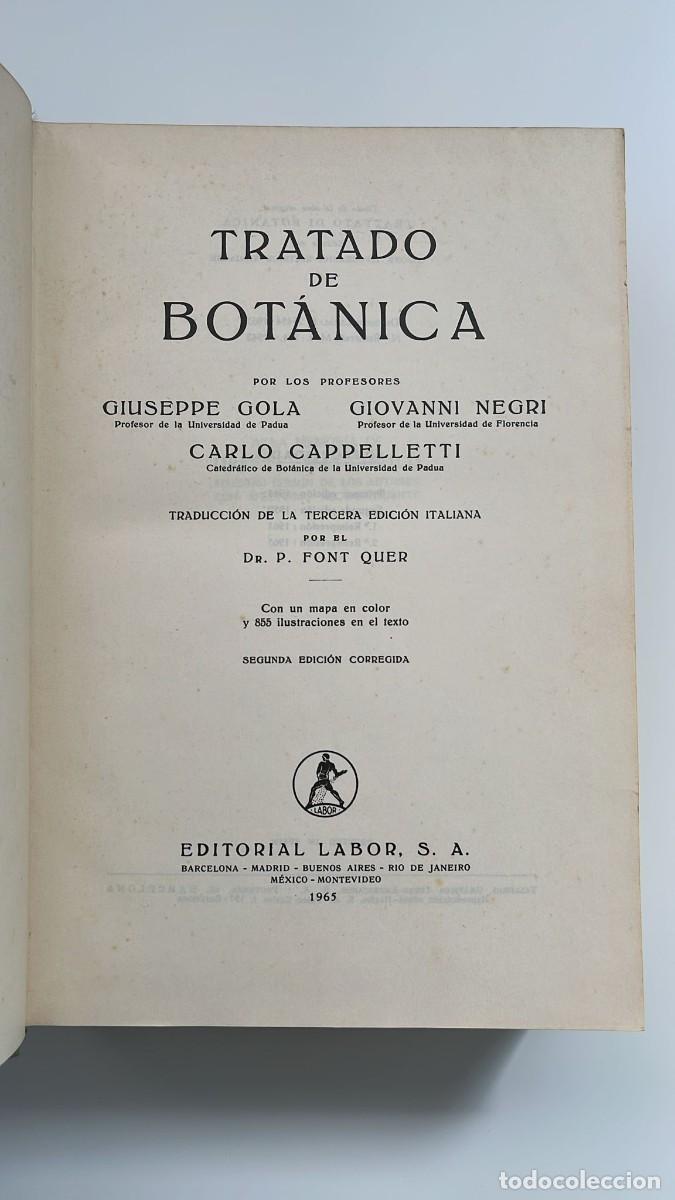 Libros de segunda mano: Tratado de Bot&aacute;nica. 1965 - Foto 3
