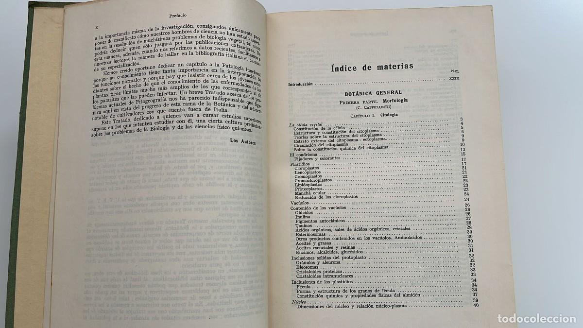 Libros de segunda mano: Tratado de Bot&aacute;nica. 1965 - Foto 7