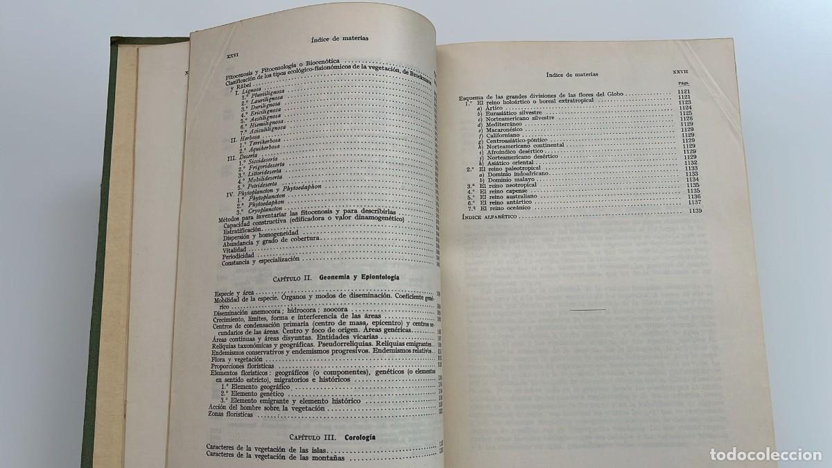 Libros de segunda mano: Tratado de Bot&aacute;nica. 1965 - Foto 8