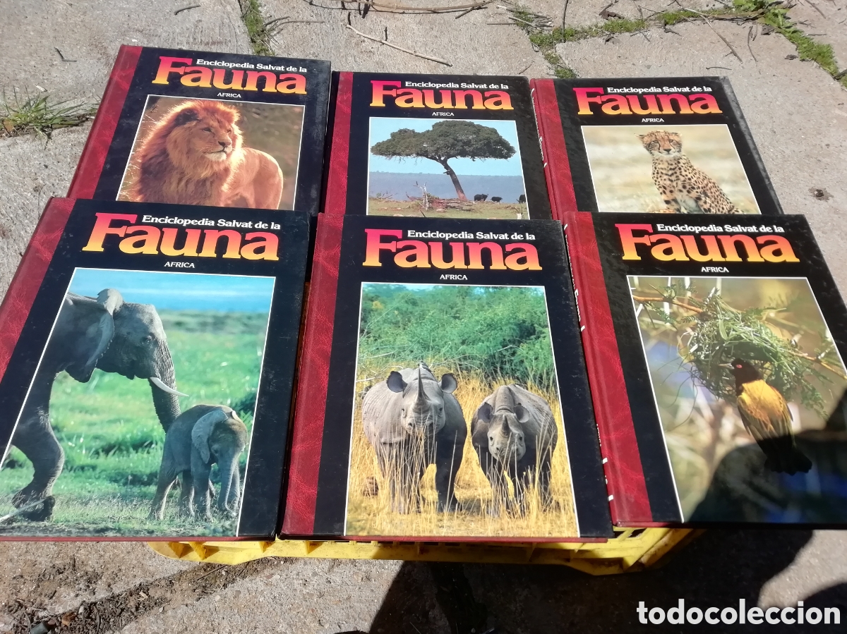 Libri di seconda mano: Enciclopedia salvat Fauna, Felix Rodriguez de la fuente. Completa